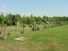 MVC-422F